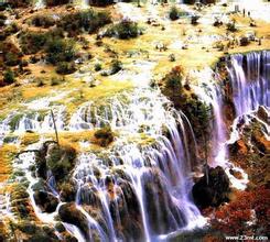 ��������ͨ�˿˷�������Ƶ��������ʾ��4��ְ����Ů��������ǳ�����...